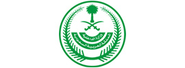 saudi